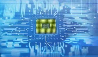 浙江大學信息技術類專業 前景廣闊的高薪就業之選